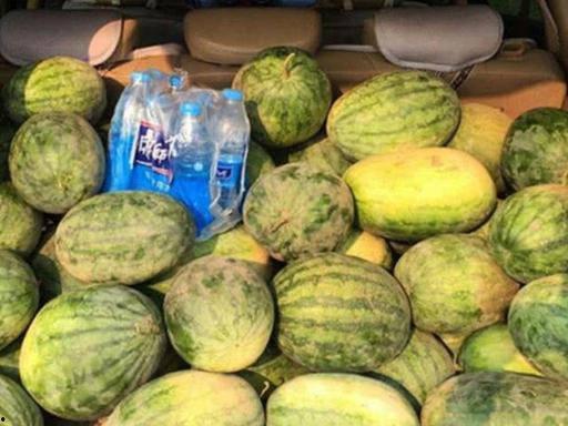 邯郸骑车吃瓜,骑车吃瓜，夏日里的悠闲时光