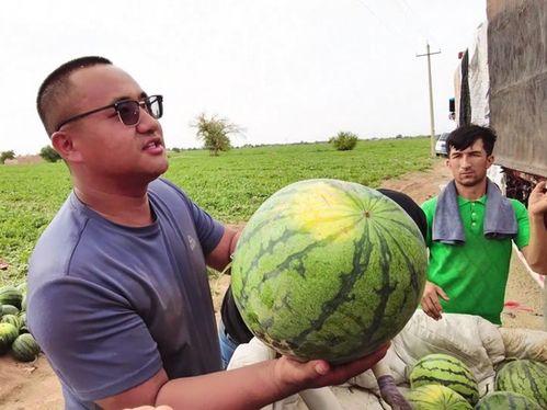 启东吃瓜新闻最新,真相竟如此惊人！