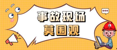 吃瓜事件酿事故,一场网络热议引发的意外事故