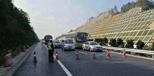 吃瓜事件酿事故,一场网络热议引发的意外事故