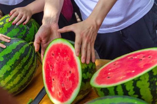 武汉大学新传吃瓜,一场“吃瓜”盛宴背后的真相