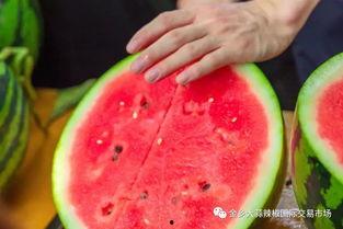 武汉大学新传吃瓜,一场“吃瓜”盛宴背后的真相