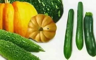 春吃芽儿夏吃瓜视频,跟随季节变化，享受时令美味