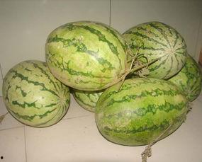 吃瓜部落 下载,揭秘网络热议背后的真相与趣味