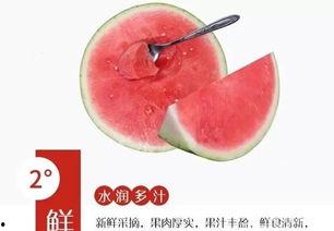 精灵瓜怎么吃,解锁美味新体验