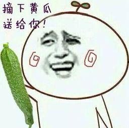 吃瓜表情包金馆长,笑料横生的网络文化现象
