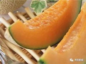 奔跑吧哈密瓜吃瓜,吃瓜群众的狂欢盛宴