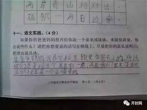 期末复习周吃瓜,瓜田李下，笑谈人生