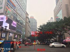 重庆青旅吃瓜,一场别开生面的吃瓜盛宴