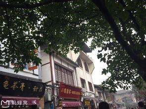 重庆青旅吃瓜,一场别开生面的吃瓜盛宴