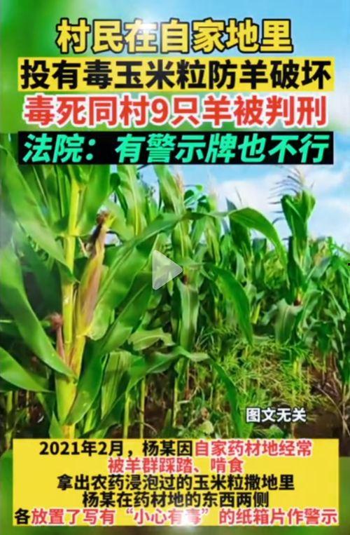 51吃瓜一栗,揭秘娱乐圈背后的那些事儿