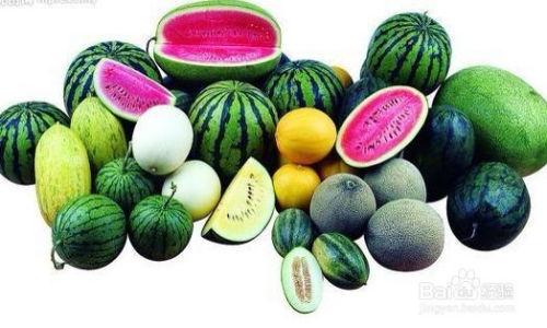 每天吃瓜解暑,每日一瓜，清凉解暑生活指南