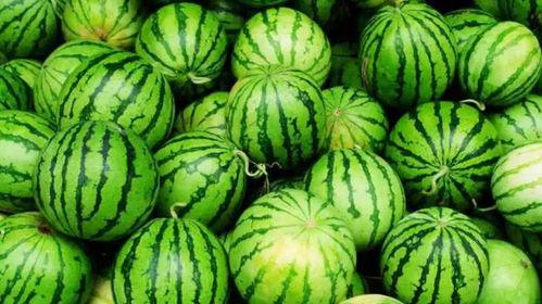 分瓜吃图片,共享快乐，品味和谐