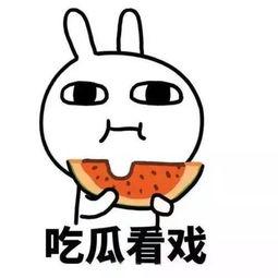 离婚在线吃瓜,在线吃瓜群众的热议焦点