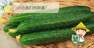 吃瓜得一瓜,揭秘娱乐圈最新热点事件