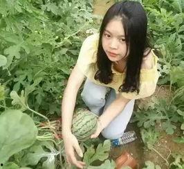 新乡吃瓜姐妹是谁呀,网络红人的崛起之路