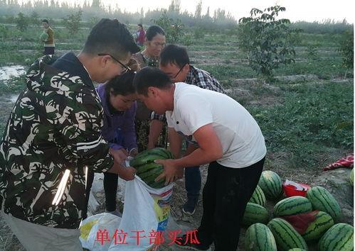 昊瀚吃瓜群众,揭秘娱乐圈幕后故事